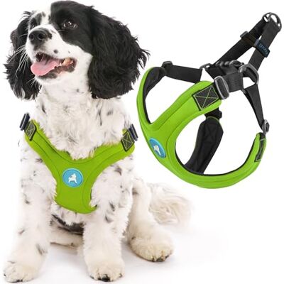 GOOBY Escape Free Sport Harness Lime No Choke Step-in Patented Neoprene Dog Harness with Four-Point Adjustment Perfect On-The-Go Dog Harness for Medium and Small Dogs, No Pull GOOBY Escape Free Sport Harness Lime No Choke Step-in Patented Neoprene Dog Harness with Four-Point Adjustment Perfect On-The-Go Dog Harness for Medium and Small Dogs, No Pull
