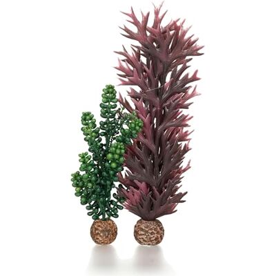 biOrb Fish Tank Decorations, Sea Pearls & Seaweed Plant (Olive Green & Purple Aquarium Plants), Artificial Fish Tank Plants To Add Colour, Natural-Looking Aquarium Decor For Scenic Background biOrb Fish Tank Decorations, Sea Pearls & Seaweed Plant (Olive Green & Purple Aquarium Plants), Artificial Fish Tank Plants To Add Colour, Natural-Looking Aquarium Decor For Scenic Background