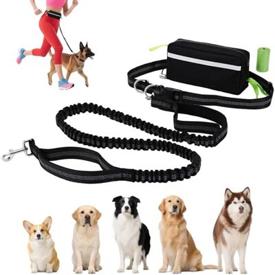 Euqvunn Hands Free Dog Lead with Waist Pack – 1.6m to 2.2m Dual Handles Elastic Leash for Medium Dogs, Ideal for Running, Walking, Hiking, Mountaineering & Travel Euqvunn Hands Free Dog Lead with Waist Pack – 1.6m to 2.2m Dual Handles Elastic Leash for Medium Dogs, Ideal for Running, Walking, Hiking, Mountaineering & Travel
