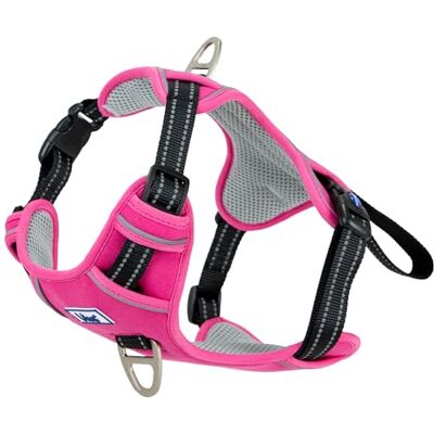 Ancol Viva Exercise and Travel Dog Harness in Pink Comfortable Pet Accessory with Padded Chest and 2 Leash Clips Small 35-45cm Ancol Viva Exercise and Travel Dog Harness in Pink Comfortable Pet Accessory with Padded Chest and 2 Leash Clips Small 35-45cm