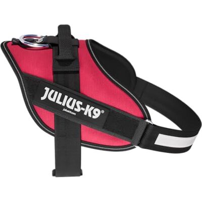 Julius-K9 IDC Powerharness, Size: M/0, Viva Magenta Julius-K9 IDC Powerharness, Size: M/0, Viva Magenta