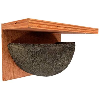 Selections House Martin Bird Nest Box Rounded Half Cup With Top Nester Selections House Martin Bird Nest Box Rounded Half Cup With Top Nester