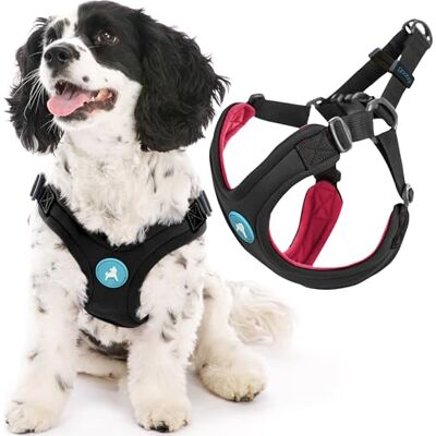 GOOBY Sporty Escape Free Harness, Medium Black, Neoprene, No-Pull, 4-Point Adjustment for Small Dogs up to 35 lbs GOOBY Sporty Escape Free Harness, Medium Black, Neoprene, No-Pull, 4-Point Adjustment for Small Dogs up to 35 lbs