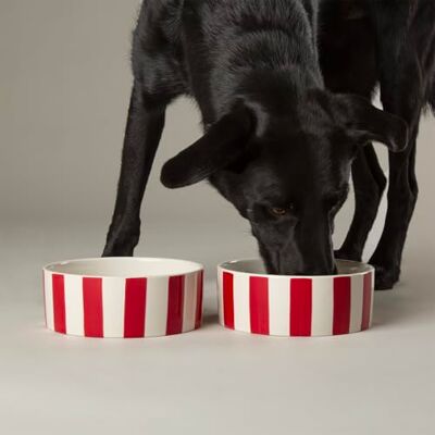 Scruffs Amalfi Striped 2 Piece Dog Bowl Food & Water Bowl Set Red 19cm Scruffs Amalfi Striped 2 Piece Dog Bowl Food & Water Bowl Set Red 19cm