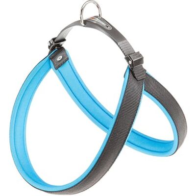 Ferplast Harness for Large Dogs AGILA FLUO 7 Dog Harness with Soft Padding, Quick Release and Attachment System, Chest Size 63-71 cm. Blue Ferplast Harness for Large Dogs AGILA FLUO 7 Dog Harness with Soft Padding, Quick Release and Attachment System, Chest Size 63-71 cm. Blue
