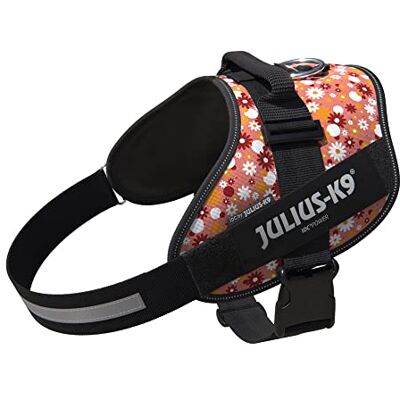 Julius-K9 IDC Powerharness, Size: 2XL/3, Pink Flowers Julius-K9 IDC Powerharness, Size: 2XL/3, Pink Flowers