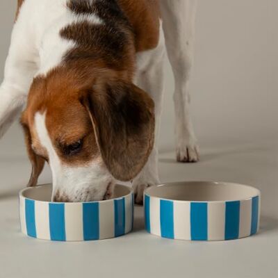 Scruffs Amalfi Striped 2 Piece Dog Bowl Food & Water Bowl Set Blue 19cm Scruffs Amalfi Striped 2 Piece Dog Bowl Food & Water Bowl Set Blue 19cm