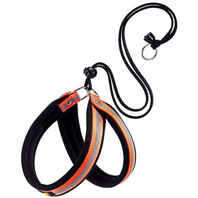 Ferplast Harness for Small Dogs AGILA REFLEX 2 Dog Harness with Soft Padding, Quick and Simple Drawstring Closure System, Chest Size 32-50 cm. Orange Ferplast Harness for Small Dogs AGILA REFLEX 2 Dog Harness with Soft Padding, Quick and Simple Drawstring Closure System, Chest Size 32-50 cm. Orange