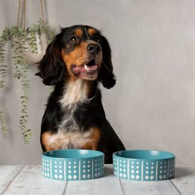 Scruffs Aztec 2pc Ceramic Dog Bowl Set Turquoise 15cm Scruffs Aztec 2pc Ceramic Dog Bowl Set Turquoise 15cm