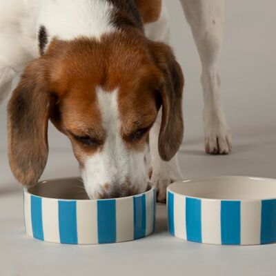 Scruffs Amalfi Striped 2 Piece Dog Bowl Food & Water Bowl Set Blue 15cm Scruffs Amalfi Striped 2 Piece Dog Bowl Food & Water Bowl Set Blue 15cm