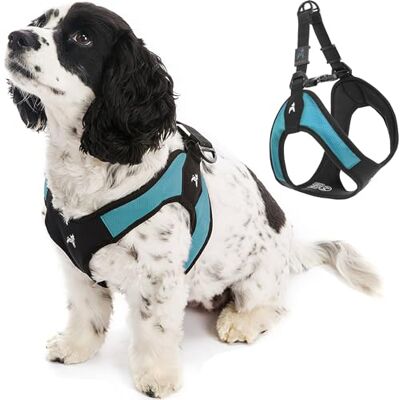 GOOBY Easy Fit Step-In Harness Light and Comfortable, Small, Turquoise GOOBY Easy Fit Step-In Harness Light and Comfortable, Small, Turquoise