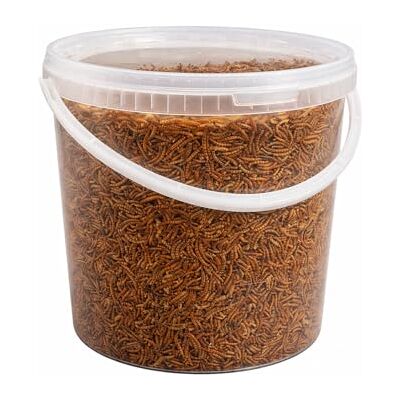 Pet Ting Premium Dried Mealworms, 10 Litre Bucket Pet Ting Premium Dried Mealworms, 10 Litre Bucket