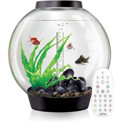 biOrb - Classic 60L Aquarium - Black - MCR LED Lighting biOrb - Classic 60L Aquarium - Black - MCR LED Lighting