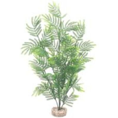 Sydeco Feather Fern Maxi, 50 cm Sydeco Feather Fern Maxi, 50 cm