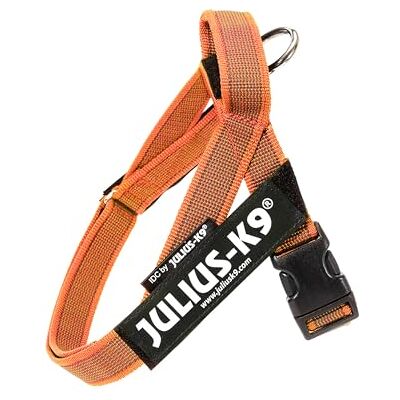 Julius-K9 , IDC Color & Gray Belt Harness, Size: XS/Mini-Mini, Orange-Gray Julius-K9 , IDC Color & Gray Belt Harness, Size: XS/Mini-Mini, Orange-Gray