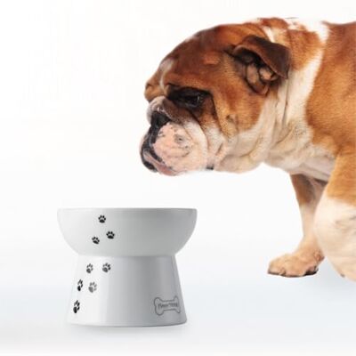 猫壱 Necoichi Raised Dog Food Bowl, 0.47 kg 猫壱 Necoichi Raised Dog Food Bowl, 0.47 kg