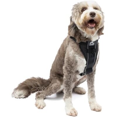 Kurgo Tru-Fit Smart Dog Harness - Adjustable, Reflective, for Car & Walks Kurgo Tru-Fit Smart Dog Harness - Adjustable, Reflective, for Car & Walks