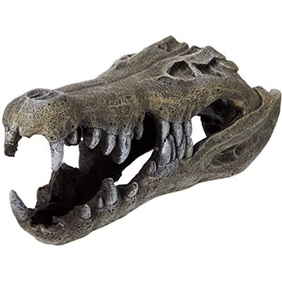 Blue Ribbon Rosewood Nile Crocodile Skull Aquarium Decor, Large,gray Blue Ribbon Rosewood Nile Crocodile Skull Aquarium Decor, Large,gray