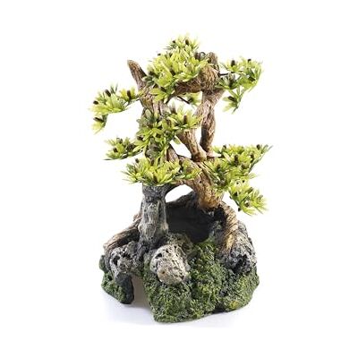 CLASSIC Caldex Limited Bonsai on Rocks Aquarium Ornament 120 x 115 x 200 mm Hand-Painted Non-Toxic Resin Decoration for Freshwater Tanks CLASSIC Caldex Limited Bonsai on Rocks Aquarium Ornament 120 x 115 x 200 mm Hand-Painted Non-Toxic Resin Decoration for Freshwater Tanks