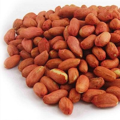 Gardeners Dream - Whole Peanuts - Fresh - Premium - Bird seed Gardeners Dream - Whole Peanuts - Fresh - Premium - Bird seed