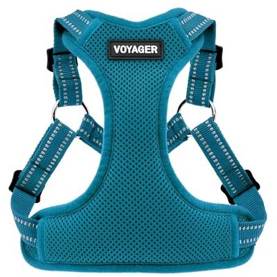 Best Pet Supplies Voyager Adjustable Dog Harness with Reflective Stripes by , Heavy-Duty Full Body No Pull Vest with Leash D-Ring, Breathable, Turquoise, size L Best Pet Supplies Voyager Adjustable Dog Harness with Reflective Stripes by , Heavy-Duty Full Body No Pull Vest with Leash D-Ring, Breathable, Turquoise, size L