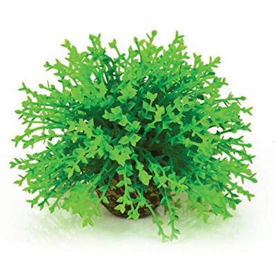 biOrb Fish Tank Decorations, Aquatic Flower Ball With Weighted Ball (1 x Green Aquarium Plant), Beautiful Artificial Fish Tank Plant To Add Colour, Natural-Looking Aquarium Decor For Scenic Background biOrb Fish Tank Decorations, Aquatic Flower Ball With Weighted Ball (1 x Green Aquarium Plant), Beautiful Artificial Fish Tank Plant To Add Colour, Natural-Looking Aquarium Decor For Scenic Background