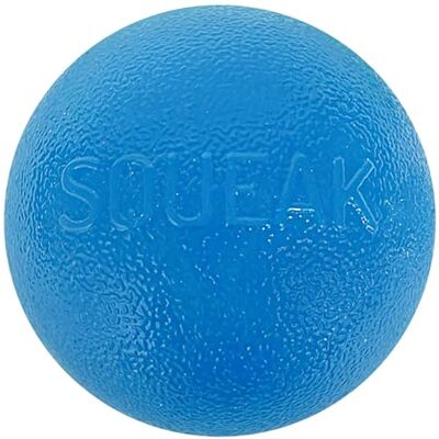 Planet Dog Blue Squeaky Dog Toy - Durable Orbee-Tuff - Small to Medium Planet Dog Blue Squeaky Dog Toy - Durable Orbee-Tuff - Small to Medium