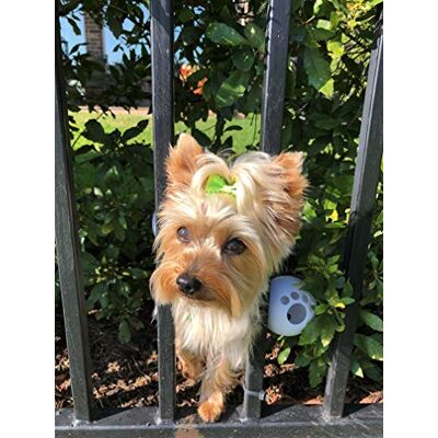 FENCEMATE Dog Harness to Keep Pet Safe from Escaping (Small) Fits Girth 12"-17 FENCEMATE Dog Harness to Keep Pet Safe from Escaping (Small) Fits Girth 12"-17