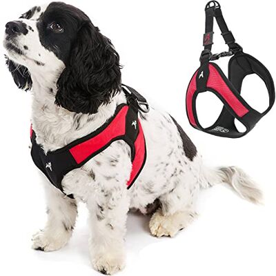 GOOBY Dog Harness Red, Medium Escape Easy Fit Patented Step-In Small Dog Harness Perfect on the Go No Pull Harness for Small Dogs or Cat Harness for Indoor and Outdoor Use GOOBY Dog Harness Red, Medium Escape Easy Fit Patented Step-In Small Dog Harness Perfect on the Go No Pull Harness for Small Dogs or Cat Harness for Indoor and Outdoor Use
