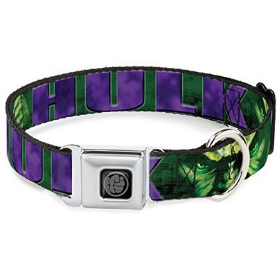 Buckle Down DC-SB-HUK-WHU008-1.5-L - Belt Buckle Down DC-SB-HUK-WHU008-1.5-L - Belt