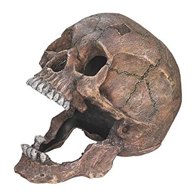 Nobby Skull Aquarium Ornaments, 13.5 x 20 x 16.5 cm Nobby Skull Aquarium Ornaments, 13.5 x 20 x 16.5 cm