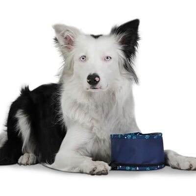 Totto Portable Dog Drinker, Vito Model, Capacity 3.79 L, Measures 15 x 10 cm, with Carabiner to Grip the Strap, Foldable with Zip, Durable, Easy to Wash, Bone Print Totto Portable Dog Drinker, Vito Model, Capacity 3.79 L, Measures 15 x 10 cm, with Carabiner to Grip the Strap, Foldable with Zip, Durable, Easy to Wash, Bone Print