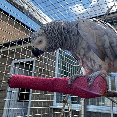 Northern Parrots Sanded Nail Trimming Parrot Perch Pet Birds Large Northern Parrots Sanded Nail Trimming Parrot Perch Pet Birds Large