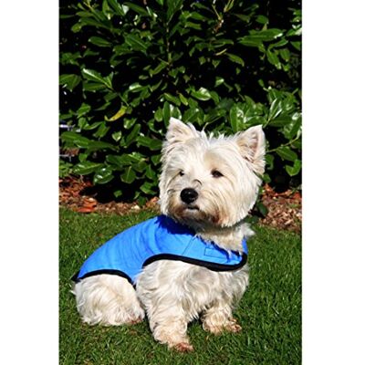Other Prestige Cool Coat for Dogs, S, Blue Other Prestige Cool Coat for Dogs, S, Blue
