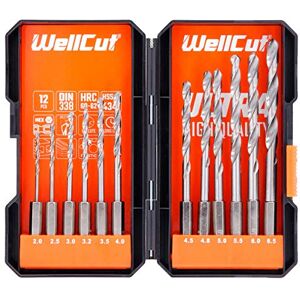 WELLCUT 12 Piece Steel Drill Bit Set, hex Shank high Speed Steel Drill bits, 2-6.5mm High Speed Steel, Quick Change Drill bits, 1/4" Hex Shank WELLCUT 12 Piece Steel Drill Bit Set, hex Shank high Speed Steel Drill bits, 2-6.5mm High Speed Steel, Quick Change Drill bits, 1/4" Hex Shank