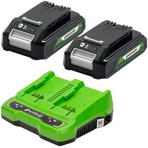 Greenworks 24V Batteries and Dual Slot Charger Two 2Ah Powerful Lithium-Ion Batteries Suitable for All 24V Garden and Power Tools GSK24B2X Greenworks 24V Batteries and Dual Slot Charger Two 2Ah Powerful Lithium-Ion Batteries Suitable for All 24V Garden and Power Tools GSK24B2X