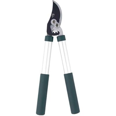 Jackson 8230KEW - Kew Gardens Razorsharp - Geared - Mini - Loppers Jackson 8230KEW - Kew Gardens Razorsharp - Geared - Mini - Loppers