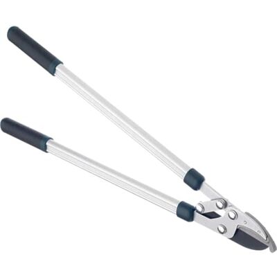 Bulldog BULBD2031T Hedge Shears Bulldog BULBD2031T Hedge Shears