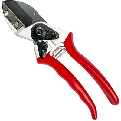 Darlac Expert Anvil Pruning Scissors Garden Scissors SK5 Steel Sharp Darlac Expert Anvil Pruning Scissors Garden Scissors SK5 Steel Sharp