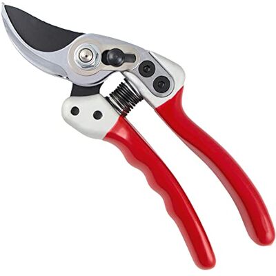 Darlac Expert Bypass Small Pruner Pruning Secateurs SK5 Steel Sharp Darlac Expert Bypass Small Pruner Pruning Secateurs SK5 Steel Sharp