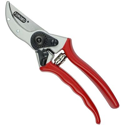 Darlac Expert Pruner Pruning Secateurs 25mm Cut Carbon Steel Telescopic Darlac Expert Pruner Pruning Secateurs 25mm Cut Carbon Steel Telescopic