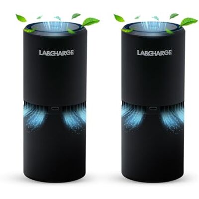 Lab Charge Small Ionic Air Purifier for Home & Bedroom – Silent HEPA Filter – Covers 250 Sq Ft Free Cleaner for Pets, Hair, Smoke, Dust, Odors & Dander – Compact & Black Design Pack of 2 Lab Charge Small Ionic Air Purifier for Home & Bedroom – Silent HEPA Filter – Covers 250 Sq Ft Free Cleaner for Pets, Hair, Smoke, Dust, Odors & Dander – Compact & Black Design Pack of 2