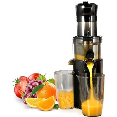 XINGLUOY Masticating Juicer Cold Press Juice Extractor Large Feed Chute High Nutrient Fruits Vegetables Easy to Clean XINGLUOY Masticating Juicer Cold Press Juice Extractor Large Feed Chute High Nutrient Fruits Vegetables Easy to Clean