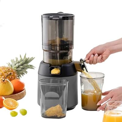 FAcoLL 300W Professional Slow Juicer, Juicer Machines, Cold Press Masticating Juicer with 13cm Feeding Chute, Portable Pomace Separation Juicer Fruit juicer, for Fruits Vegetables gray FAcoLL 300W Professional Slow Juicer, Juicer Machines, Cold Press Masticating Juicer with 13cm Feeding Chute, Portable Pomace Separation Juicer Fruit juicer, for Fruits Vegetables gray