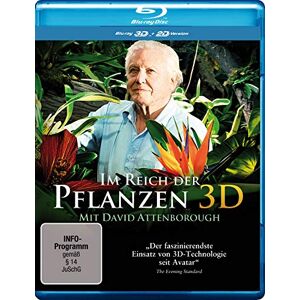 Polyband IM REICH DER PFLANZEN 3D- SP Polyband IM REICH DER PFLANZEN 3D- SP