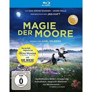Polyband Magie der Moore (FSK ohne Altersbeschränkung) Blu-Ray Polyband Magie der Moore (FSK ohne Altersbeschränkung) Blu-Ray