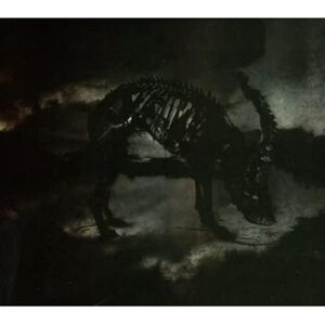 Mass III-II & Mass IIII Mass III-II & Mass IIII