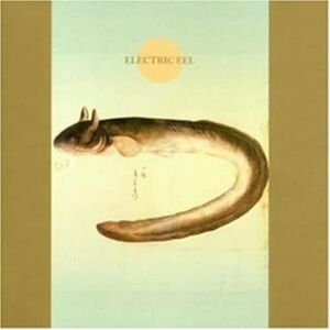 Electric EEL Electric EEL