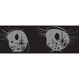 Bardo Pond Bardo Pond