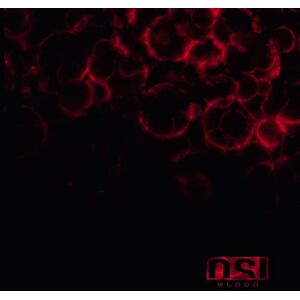 Blood (Re-Issue And Bonus) Blood (Re-Issue And Bonus)